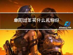 阜阳过年买什么礼物好看