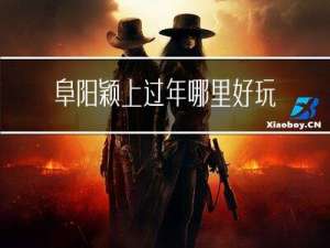 阜阳颖上过年哪里好玩