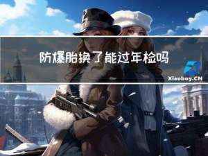 防爆胎换了能过年检吗