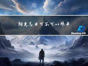 阳光忌日可不可以拜年