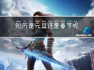 阳历是元旦还是春节呢