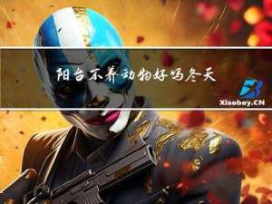 阳台不养动物好吗冬天