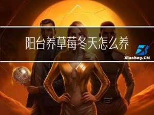 阳台养草莓冬天怎么养护