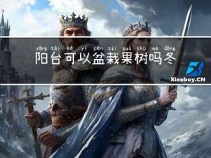 阳台可以盆栽果树吗冬天