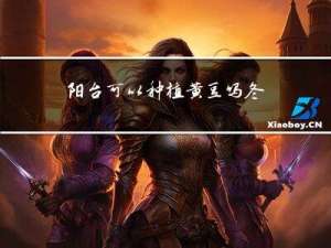 阳台可以种植黄豆吗冬天