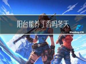 阳台能养丁香吗冬天