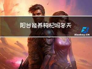 阳台能养枸杞吗冬天