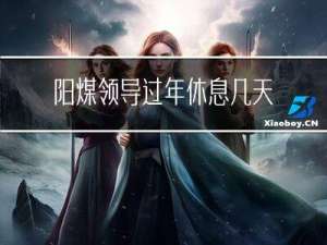 阳煤领导过年休息几天