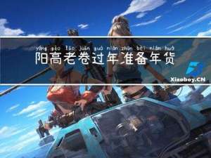 阳高老卷过年准备年货如何