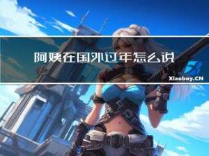 阿姨在国外过年怎么说