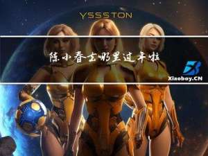 陈小春去哪里过年啦