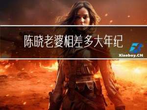 陈晓老婆相差多大年纪