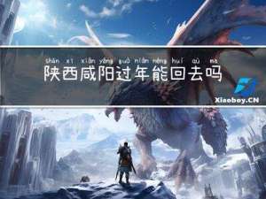 陕西咸阳过年能回去吗吗