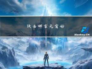 陕西哪家元宵好