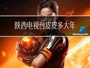 陕西电视台皮皮多大年纪