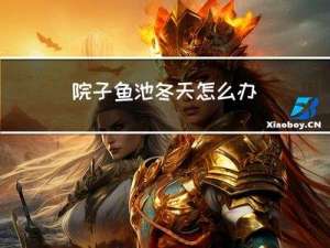 院子鱼池冬天怎么办