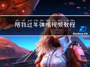陪我过年弹唱视频教程