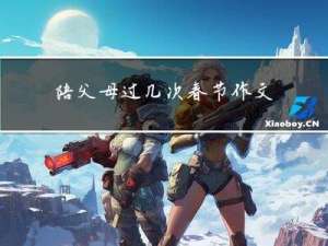 陪父母过几次春节作文