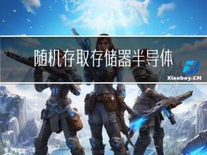 随机存取存储器+半导体+存储器和cpu
