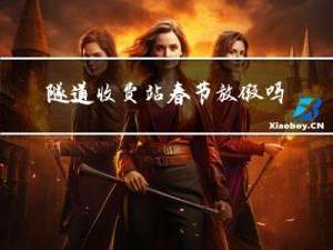 隧道收费站春节放假吗