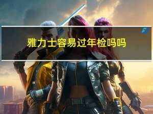雅力士容易过年检吗吗