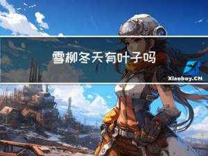 雪柳冬天有叶子吗