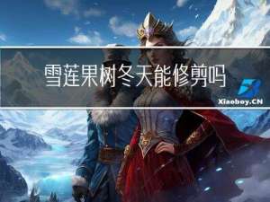 雪莲果树冬天能修剪吗