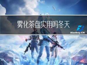 雾化茶盘实用吗冬天