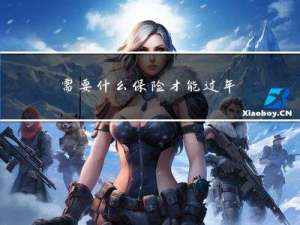 需要什么保险才能过年检