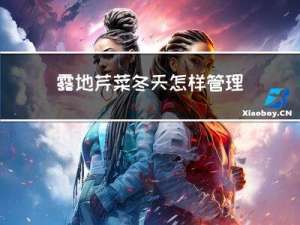 露地芹菜冬天怎样管理施肥