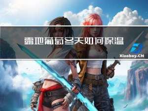露地葡萄冬天如何保温