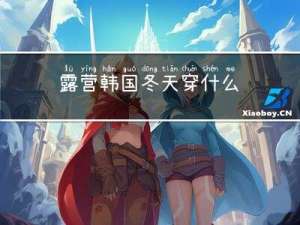 露营韩国冬天穿什么