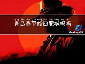 青岛春节能回肥城吗吗