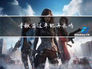 青椒苗过年能再长吗