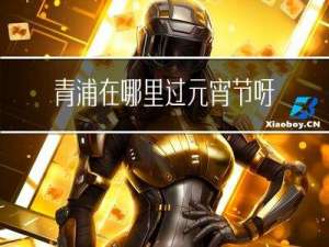 青浦在哪里过元宵节呀