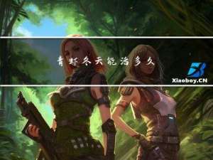 青虾冬天能活多久