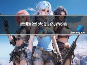 青蛙冬天怎么养殖