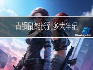 青铜鼠能长到多大年纪