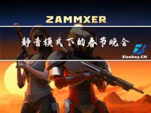 静音模式下的春节晚会