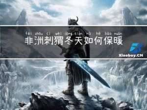 非洲刺猬冬天如何保暖的