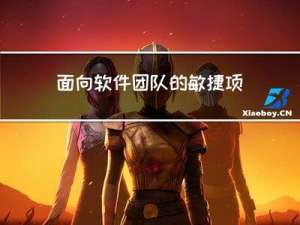 面向软件团队的敏捷项目管理工具