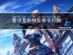 面试官：如何在命令行跑Postman？