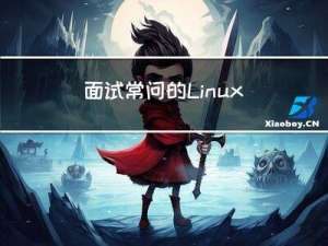 面试常问的Linux之 I/O 复用