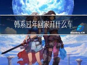 韩系过年回家开什么车型