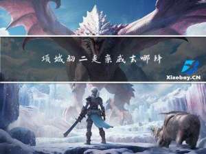 项城初二走亲戚去哪拜年