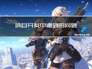 项目开发中遇到的问题及解决方案（文章持续更新）