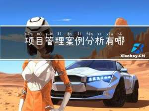 项目管理案例分析有哪些？