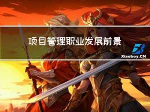 项目管理职业发展前景怎么样？