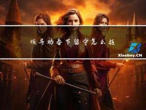 领导劝春节留守怎么拒绝