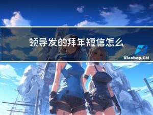 领导发的拜年短信怎么回信